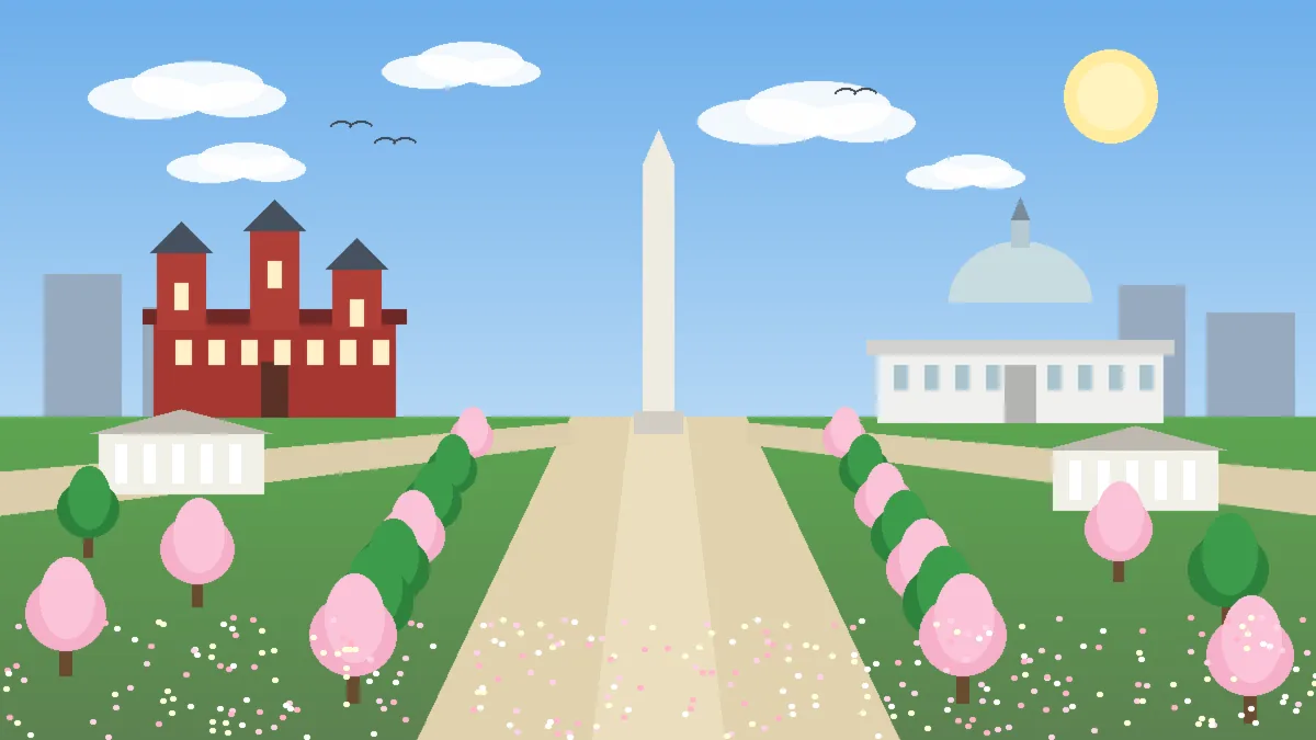 Washington Monument on the National Mall in Washington DC with the red Smithsonian Castle, the US Capitol dome, green lawns and cherry blossom trees